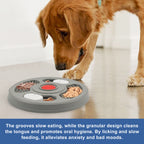 2-in-1 Slow Feeder Bowl &amp; Lick Mat for Dogs &amp; Cats4