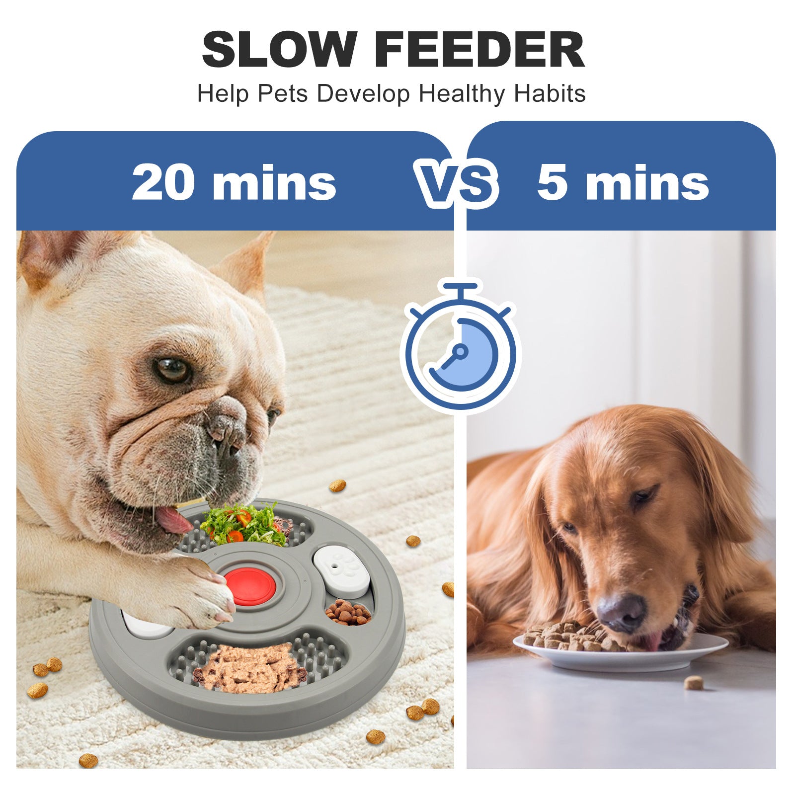 2-in-1 Slow Feeder Bowl &amp; Lick Mat for Dogs &amp; Cats8