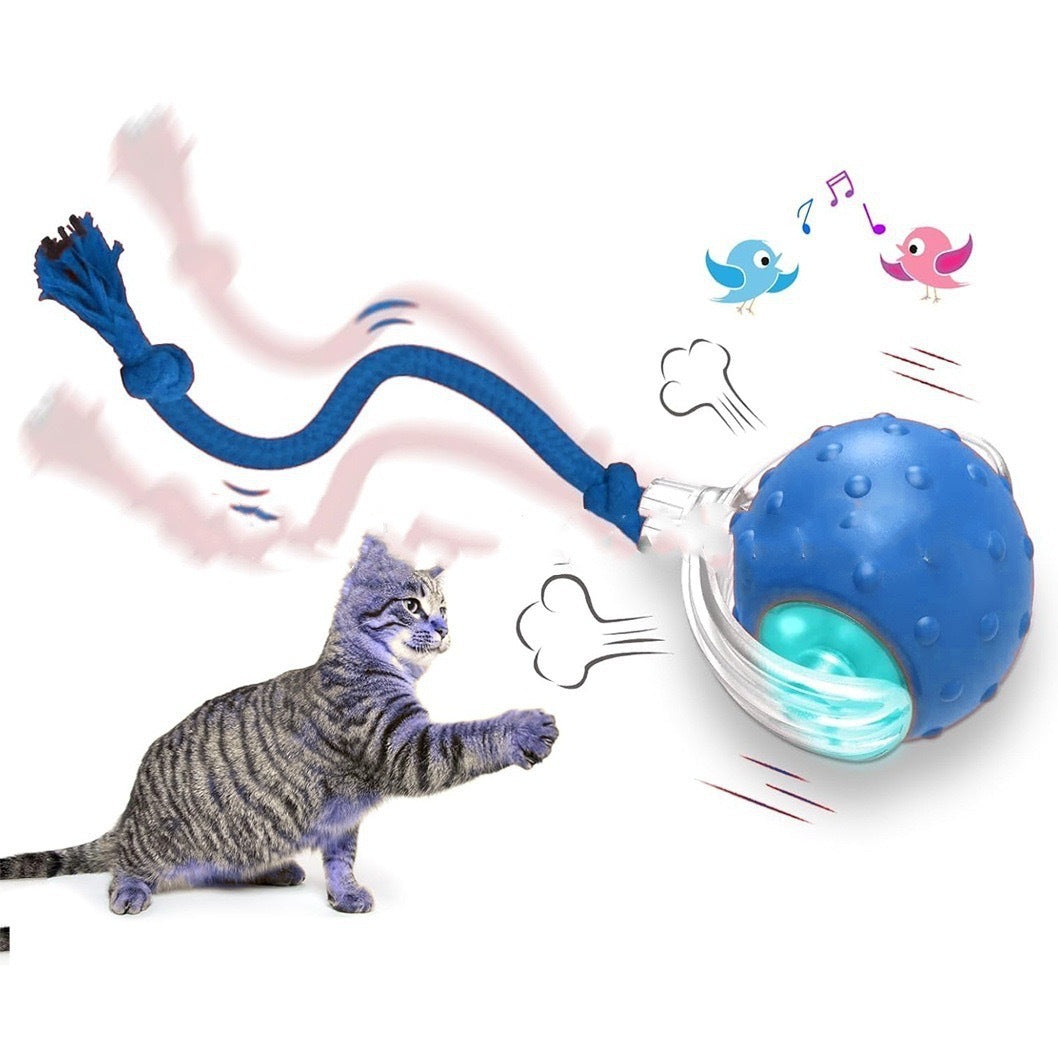 Interactive Cat Toy Ball – Super Drive Rolling Ball18
