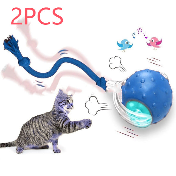 Interactive Cat Toy Ball – Super Drive Rolling Ball1