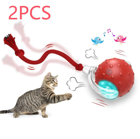 Interactive Cat Toy Ball – Super Drive Rolling Ball20