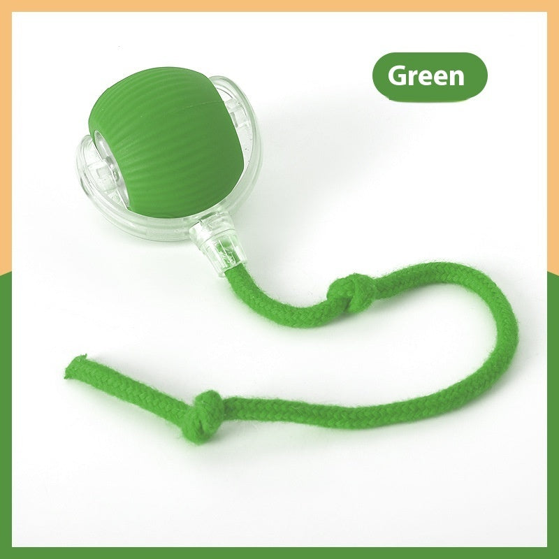 Interactive Cat Toy Ball – Super Drive Rolling Ball6