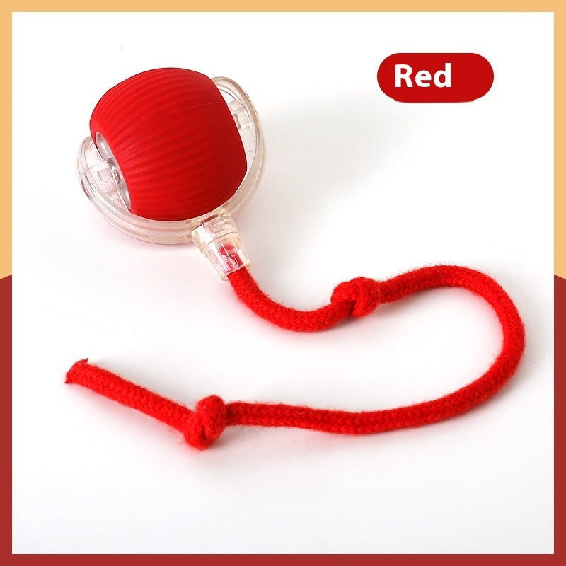 Interactive Cat Toy Ball – Super Drive Rolling Ball7