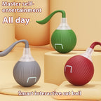 Interactive Cat Toy Ball – Super Drive Rolling Ball8