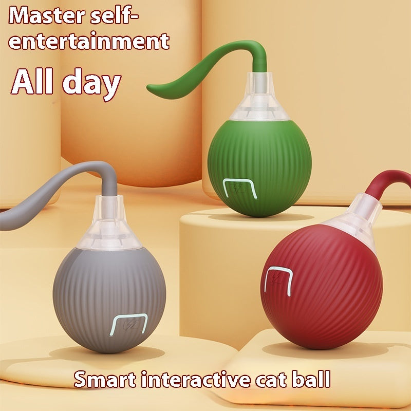 Interactive Cat Toy Ball – Super Drive Rolling Ball8