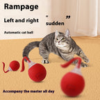Interactive Cat Toy Ball – Super Drive Rolling Ball9