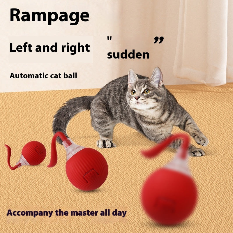 Interactive Cat Toy Ball – Super Drive Rolling Ball9