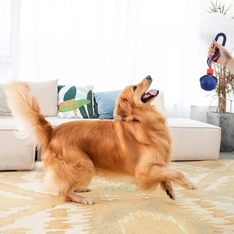 Interactive Dog Toy Ball Interactive Teether With Rope Dog Ball Pet Supplies Chewing Ball Training For Living Room Lake Beach Pets Products3