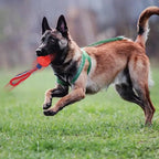 Interactive Dog Toy Ball Interactive Teether With Rope Dog Ball Pet Supplies Chewing Ball Training For Living Room Lake Beach Pets Products9