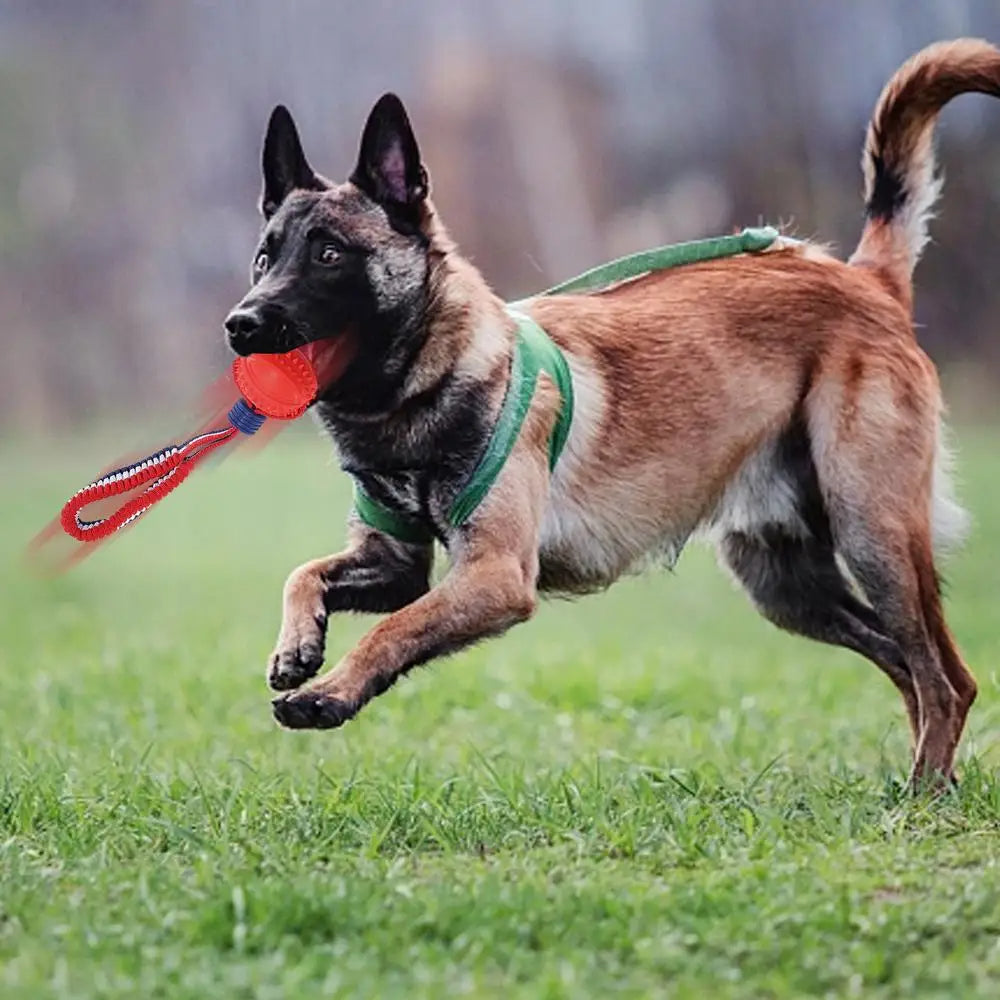Interactive Dog Toy Ball Interactive Teether With Rope Dog Ball Pet Supplies Chewing Ball Training For Living Room Lake Beach Pets Products9