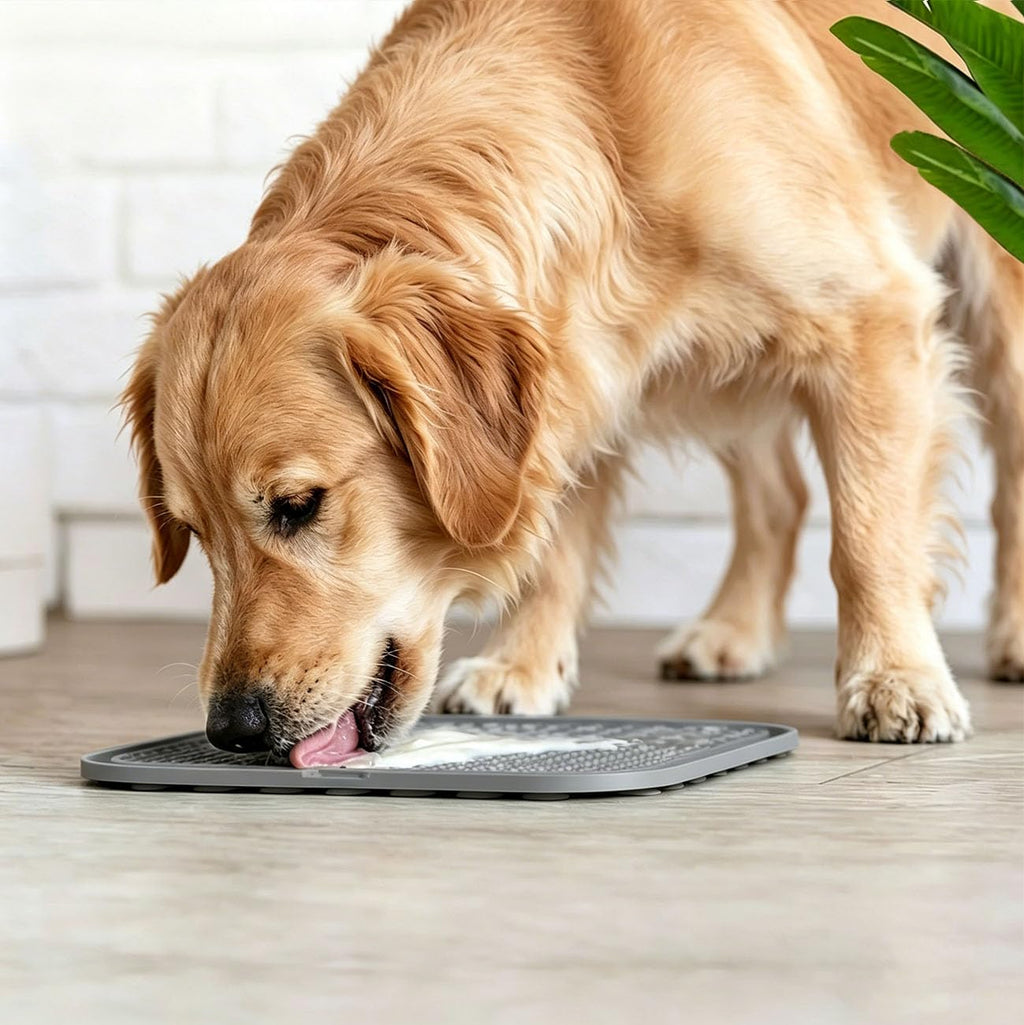 Licking Mat for Dogs & Cats with Suction Cups10