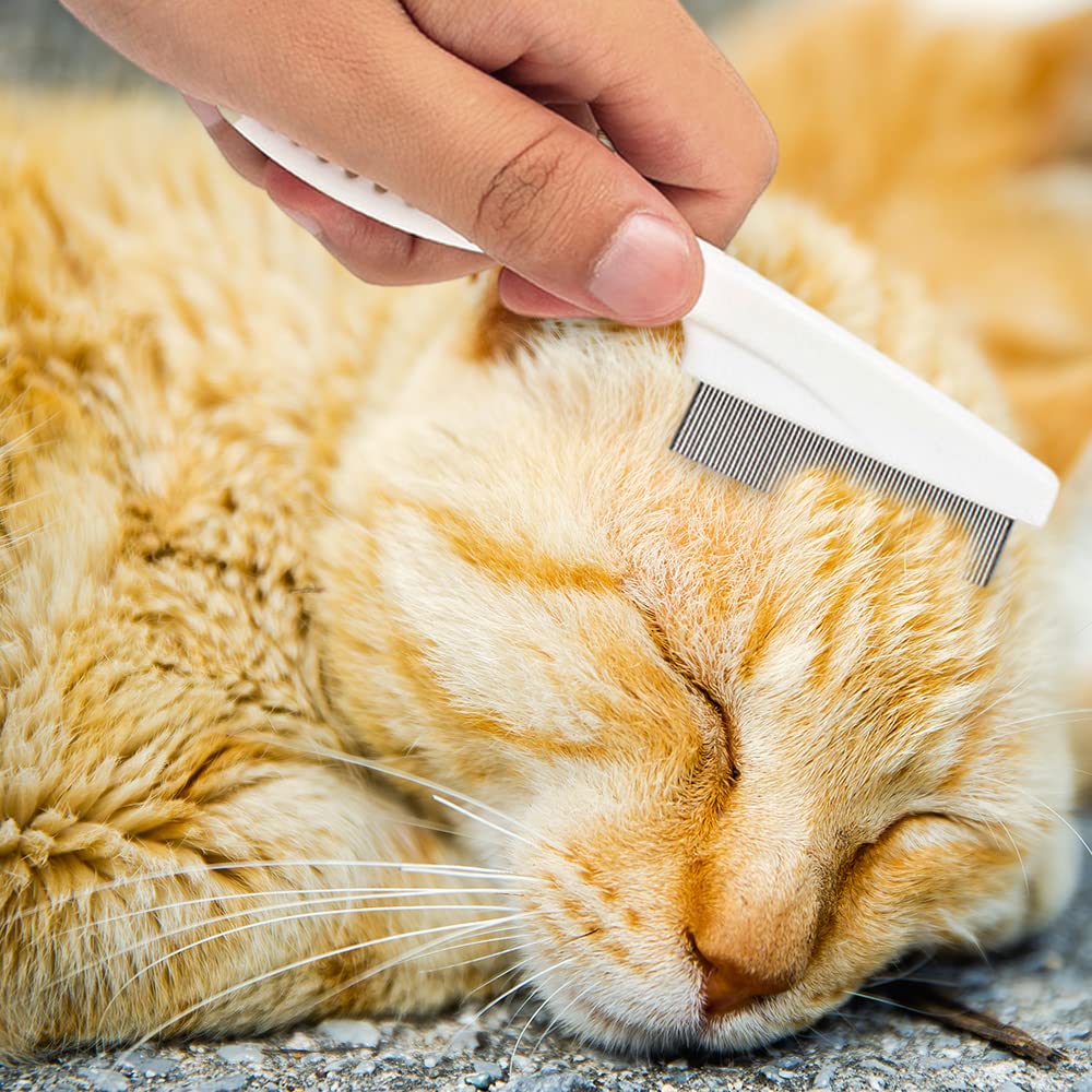 Multifunctional Pet Comb Tear Stain Removal Comb Magic Pets Grooming Comb Kit For Small Dogs Puppies  Pet Grooming Brush Fine-Tooth Stainless Grooming Massage Comb10