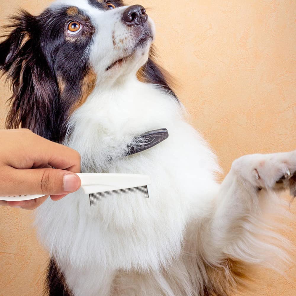 Multifunctional Pet Comb Tear Stain Removal Comb Magic Pets Grooming Comb Kit For Small Dogs Puppies  Pet Grooming Brush Fine-Tooth Stainless Grooming Massage Comb5
