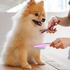 Multifunctional Pet Comb Tear Stain Removal Comb Magic Pets Grooming Comb Kit For Small Dogs Puppies  Pet Grooming Brush Fine-Tooth Stainless Grooming Massage Comb8