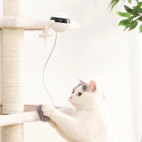 Pet Cat Toy – Electronic Motion Interactive Cat Toy9