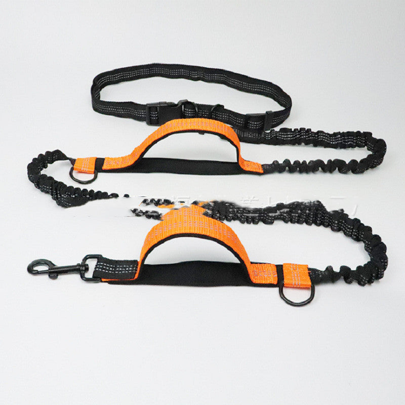Pet Traction Rope - Multifunctional4